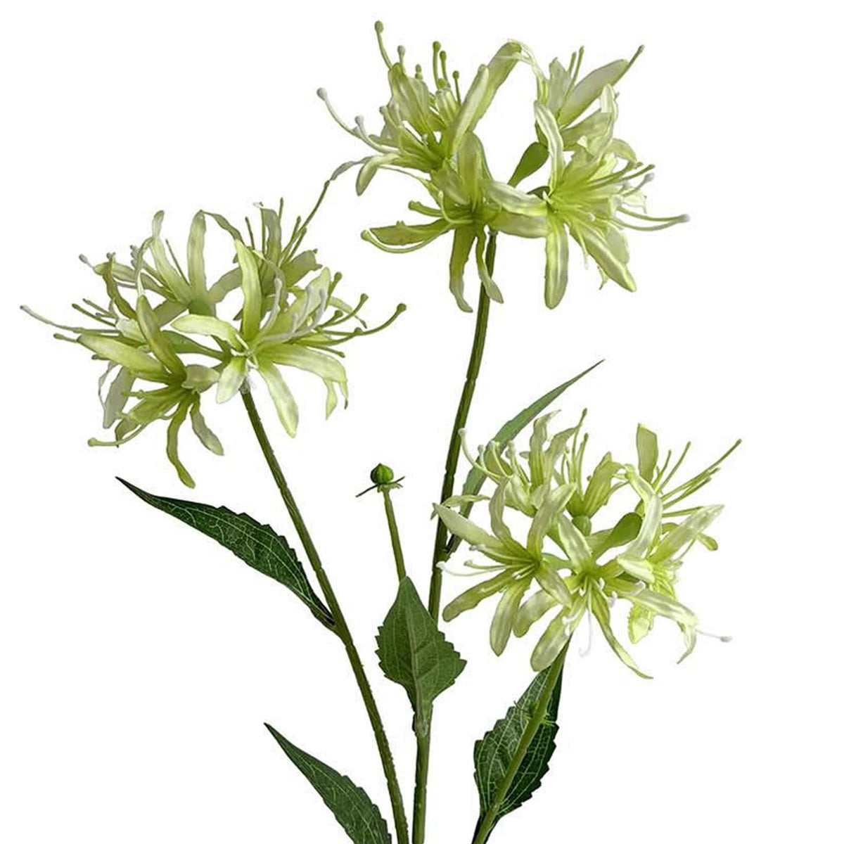 72cm Artificial Spider Lily Flower Stem