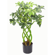 Twisted Artificial Schefflera Gold Capella