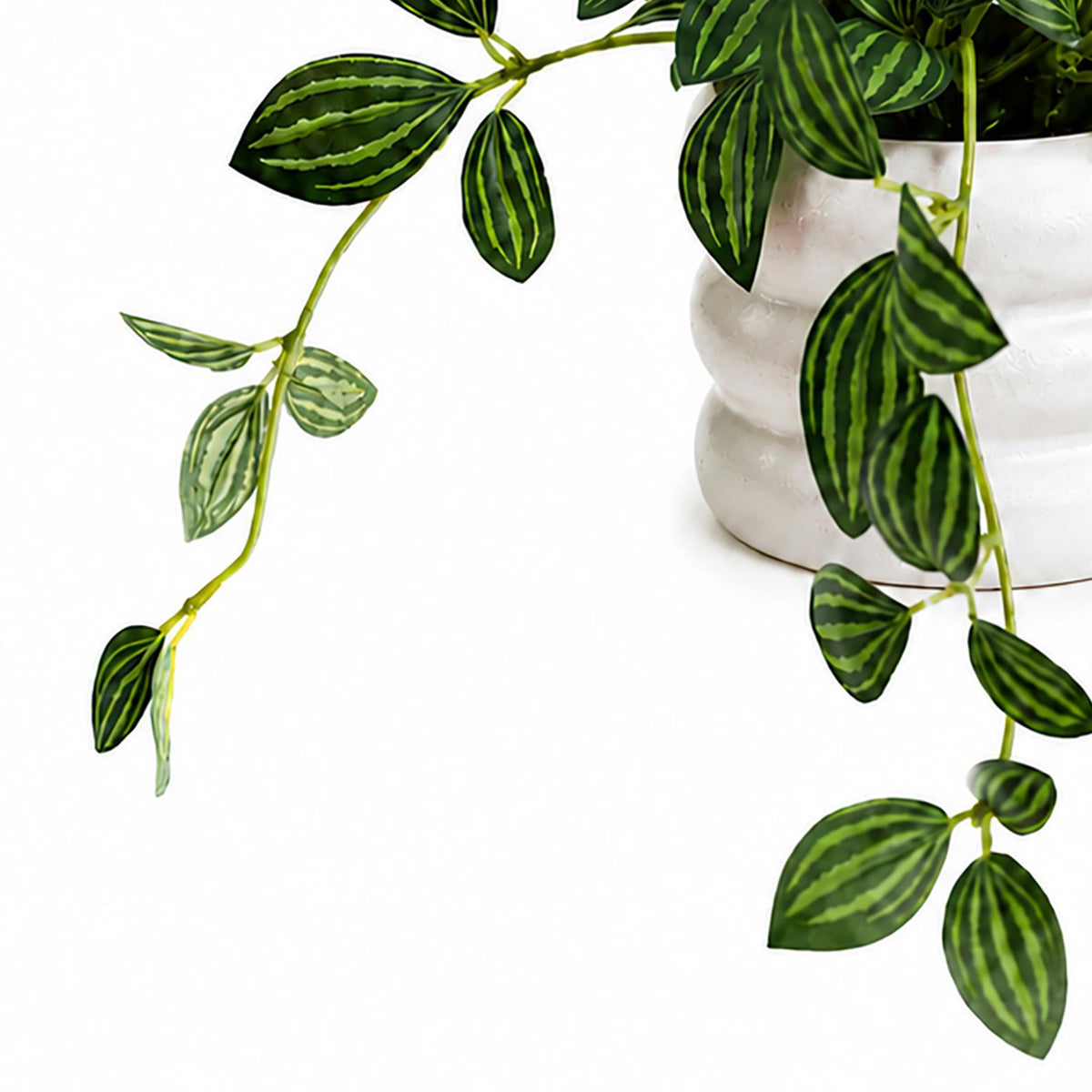 45cm Artificial Trailing Striped Leaf Plant with Pink Flowers in White Pot – image 3
