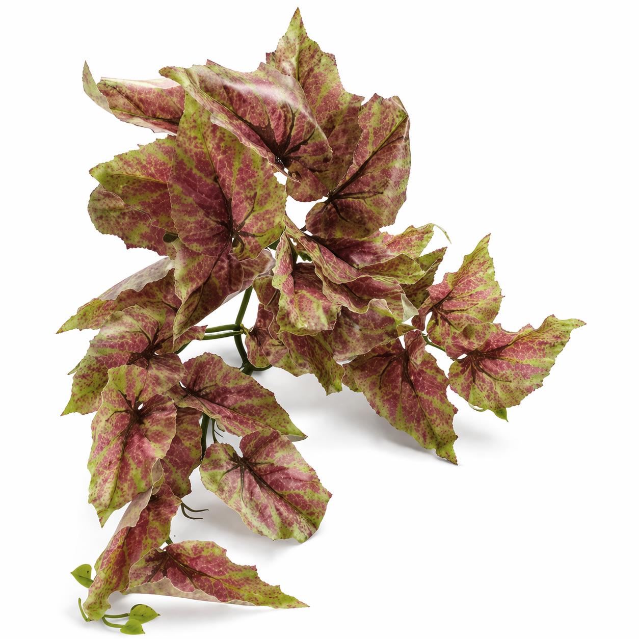 Caladium artificiel retombant rose et vert – 30 cm