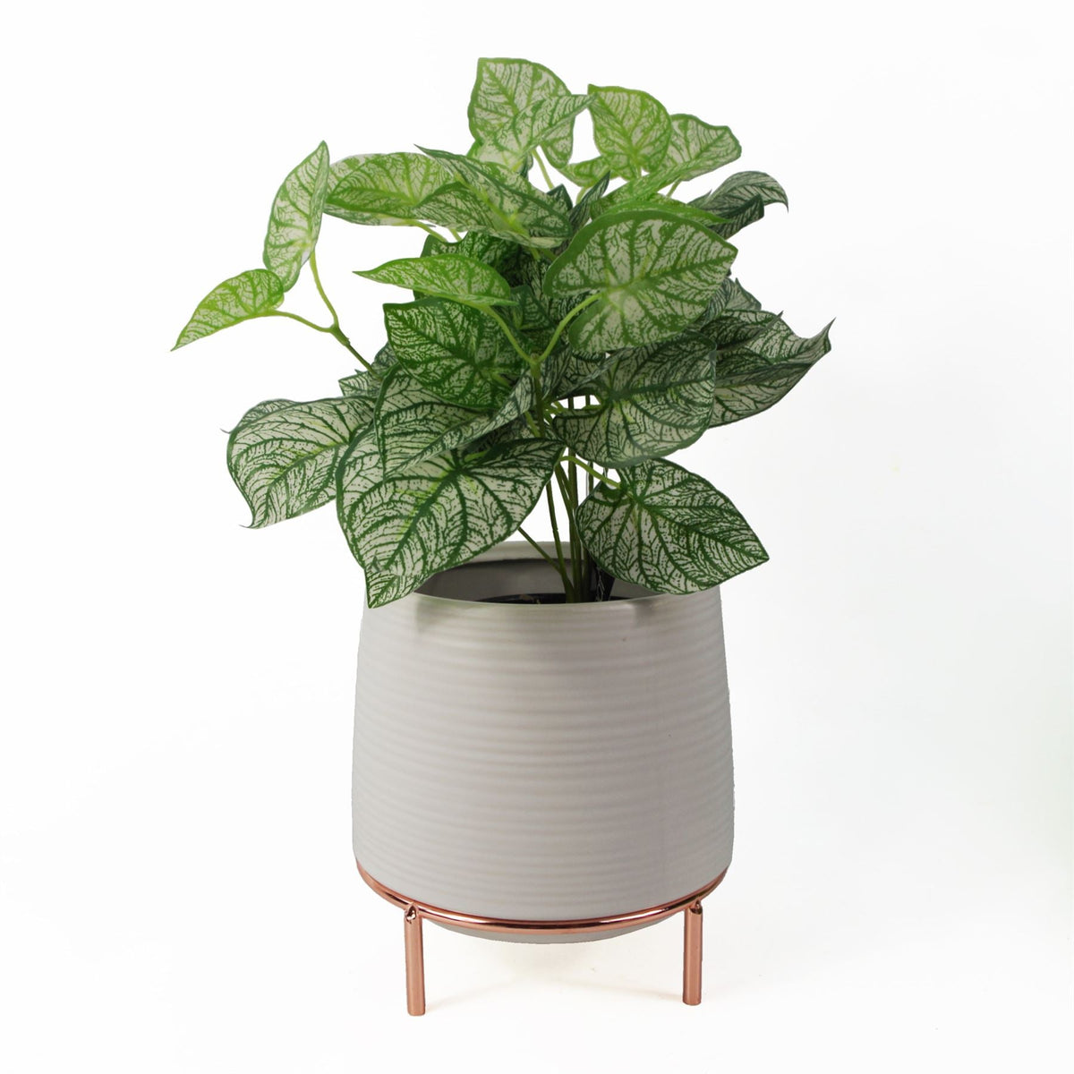 18cm White Ceramic Planter with Gold Metal Stand – image 3