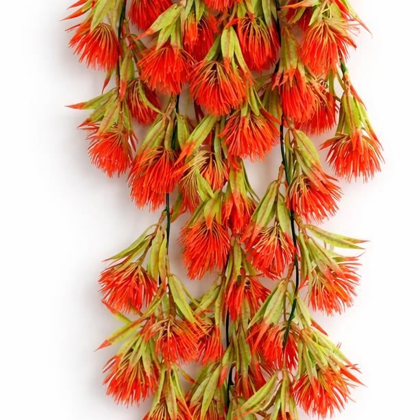 Red thistle trailing hanging plant