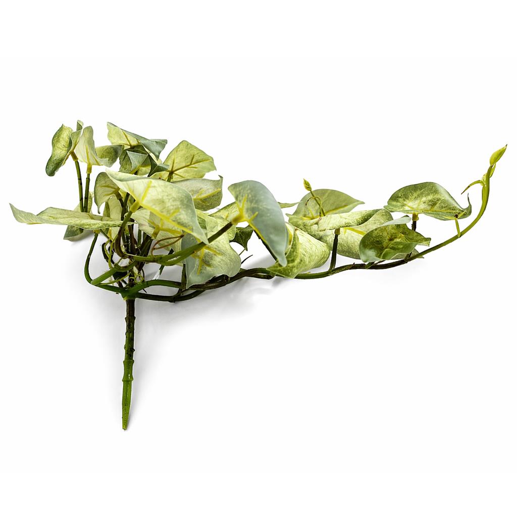 Plante artificielle de vigne Caladium panachée retombante vert clair 25 cm