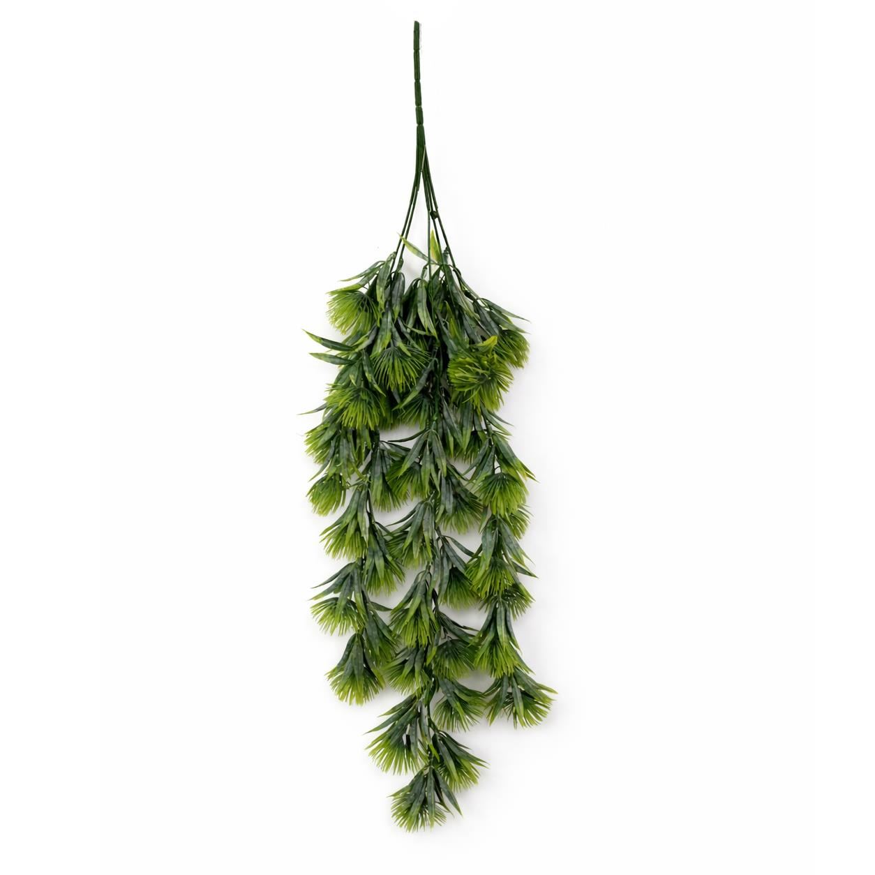 Green thistle trailing hanging plant