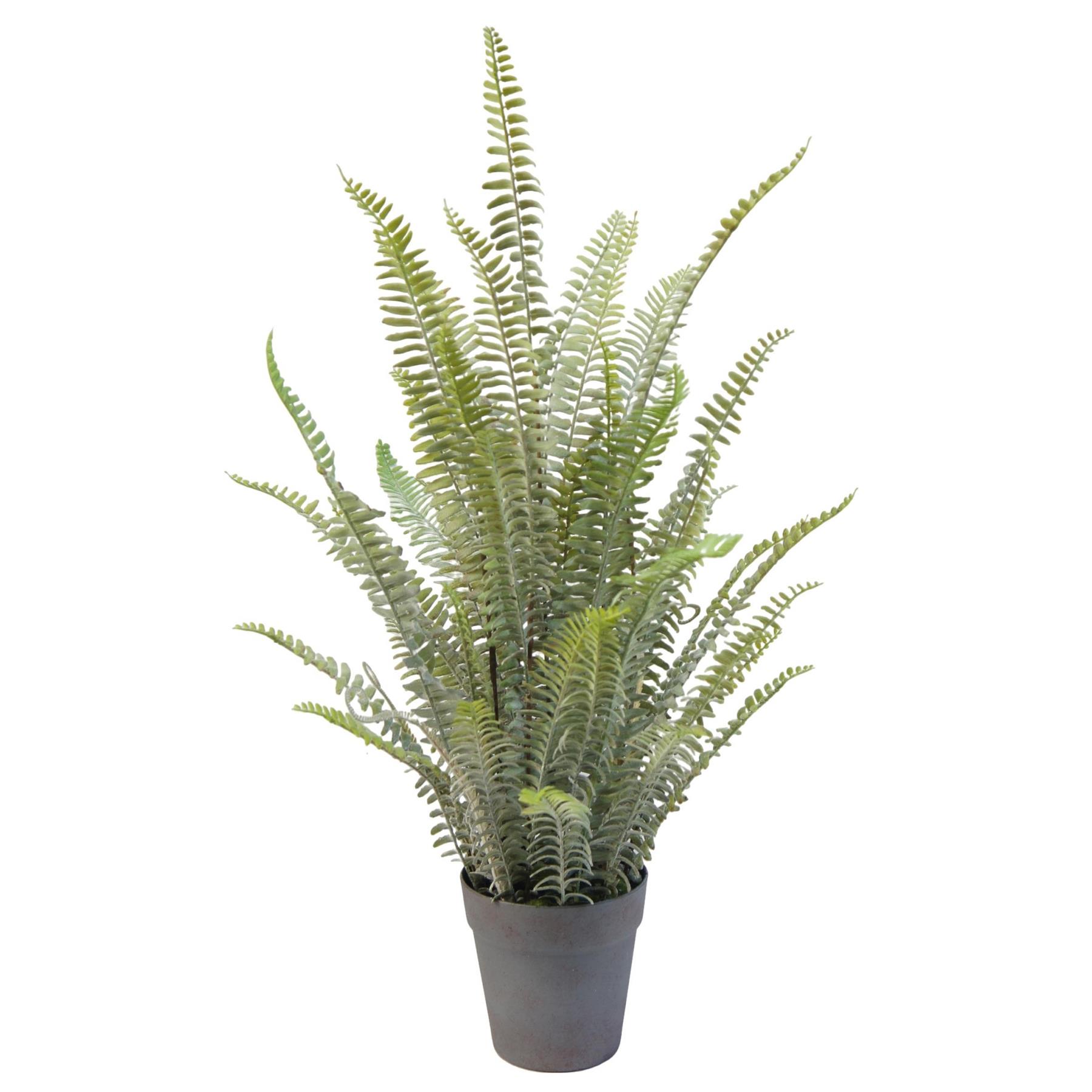74cm Artificial Fern Plant