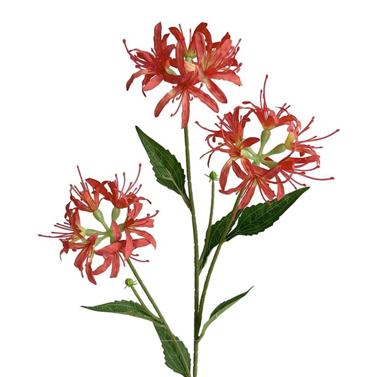 72cm Artificial Spider Lily Flower Stem