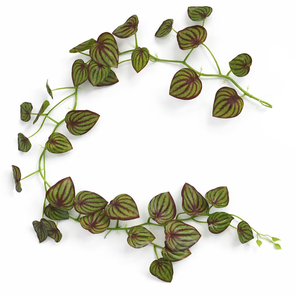 Guirlande décorative artificielle de feuilles de Peperomia pastèque de 160 cm