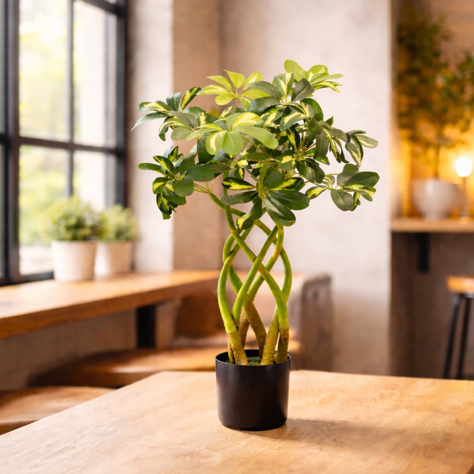 70cm Artificial Twisted Stem Modern Arboricola Artificial Plant Bonsai Bush