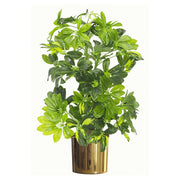 75cm Artificial Arboricola Gold Capella Plant