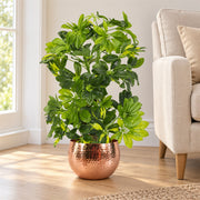 75cm Artificial Arboricola Gold Capella Plant