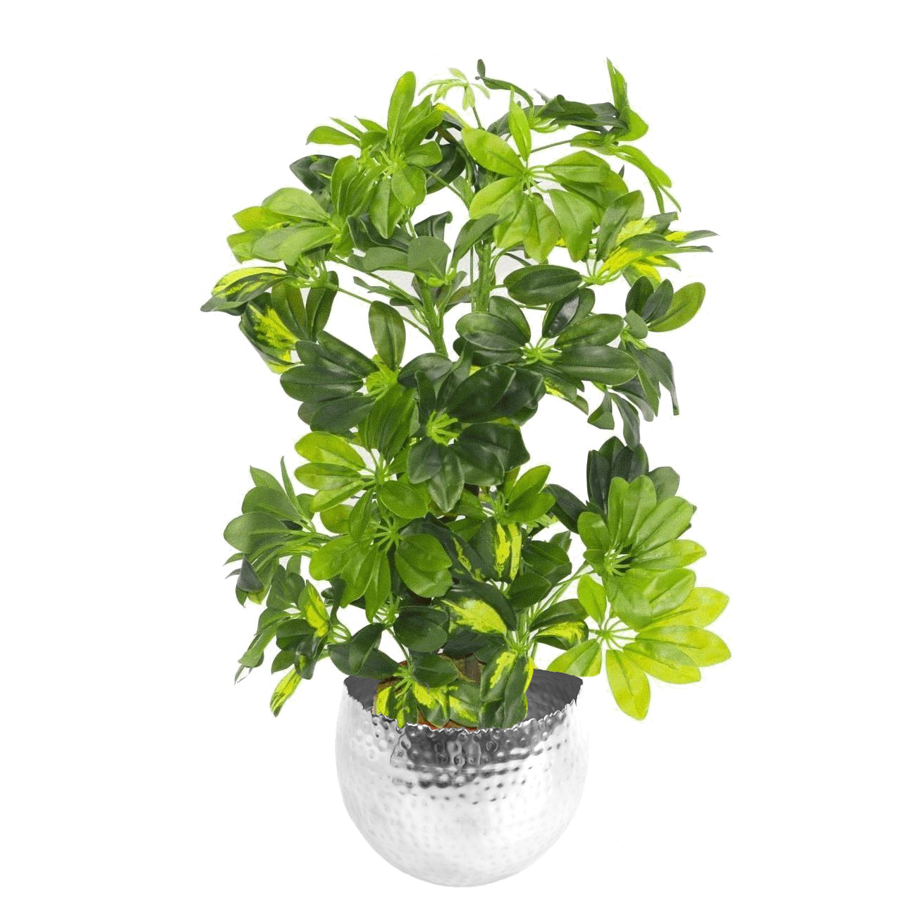 75cm Artificial Arboricola Gold Capella Plant