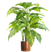 100cm Large Fox's Aglaonema (Spotted Evergreen) Tree Artificial Plant
