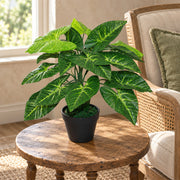 45cm Artificial Taro Plant - 45cm Dark
