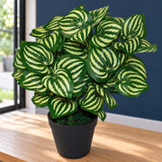 45cm Artificial Watermelon Style Leaves Plant