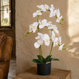 65cm Artificial Luxury Orchid - 3 Stems - Soft White Plant
