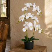 65cm Künstliche Luxus-Orchidee – 3 Stiele – Zartweiße Pflanze