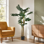 Plante de Monstera Artificielle Premium 150cm