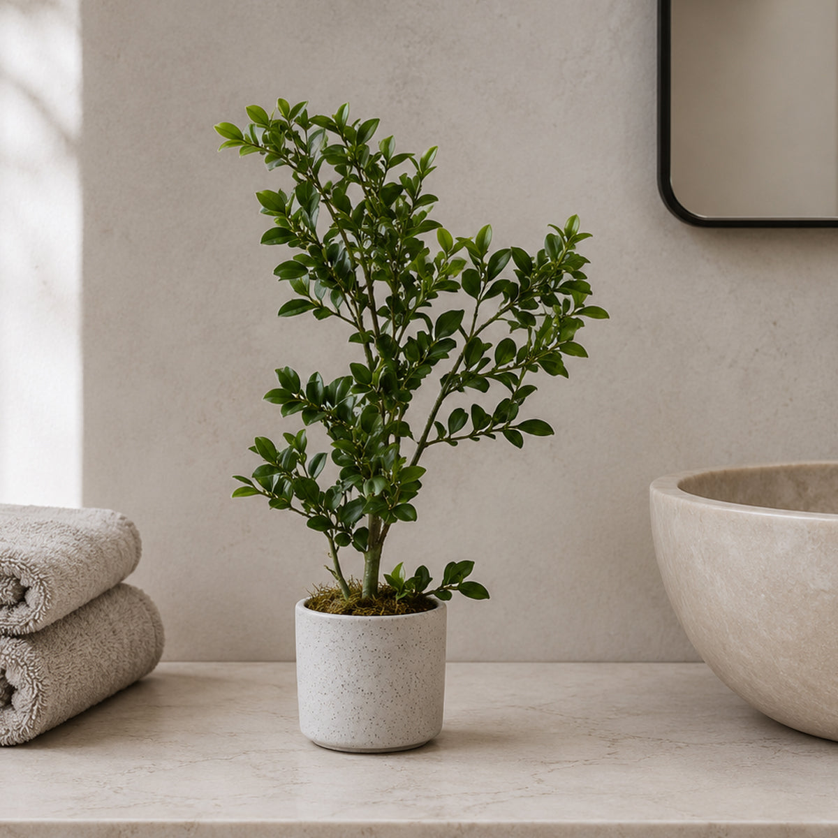 45cm Künstlicher Aglaia Odorata Bonsai Ficus Baum