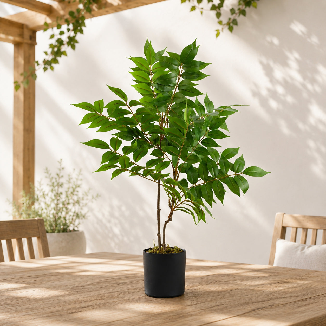65cm Artificial Toona Sinensis Plant Evergreen
