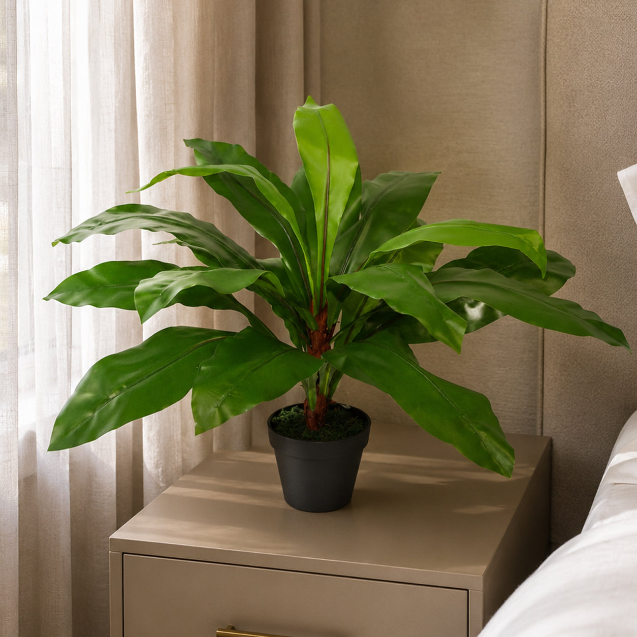 60cm Bushy Large Artificial Bird's Nest Fern Plant
