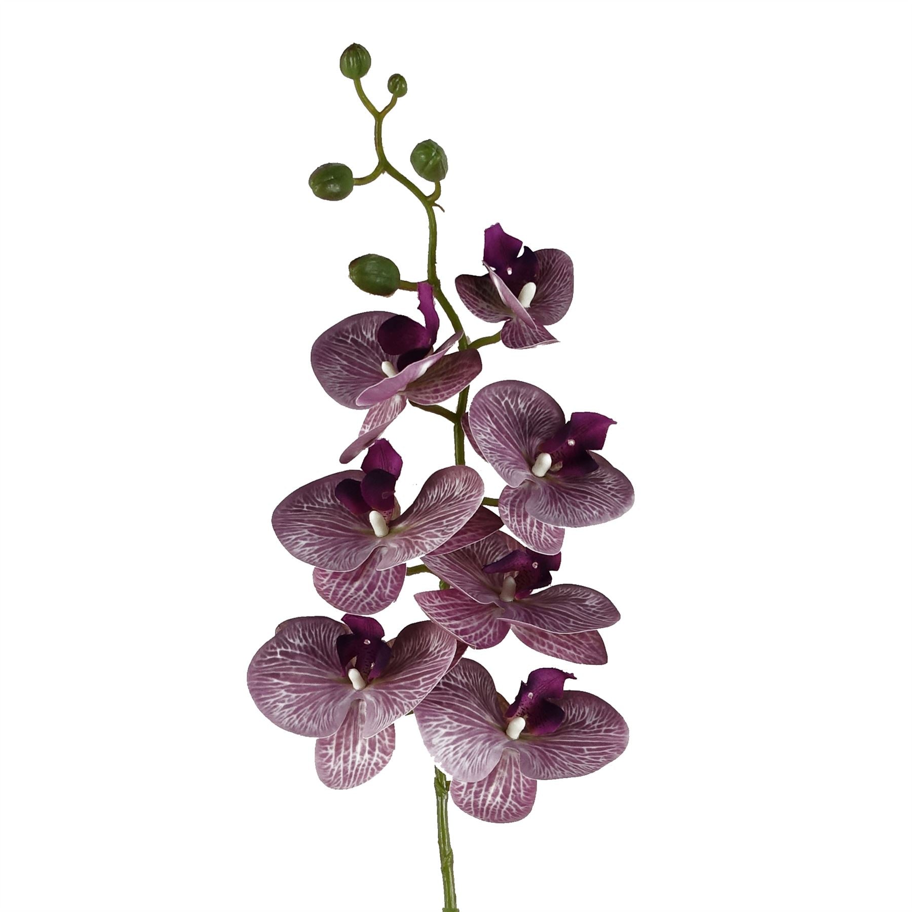 100cm Artificial Phalaenopsis Orchid Faux Stem