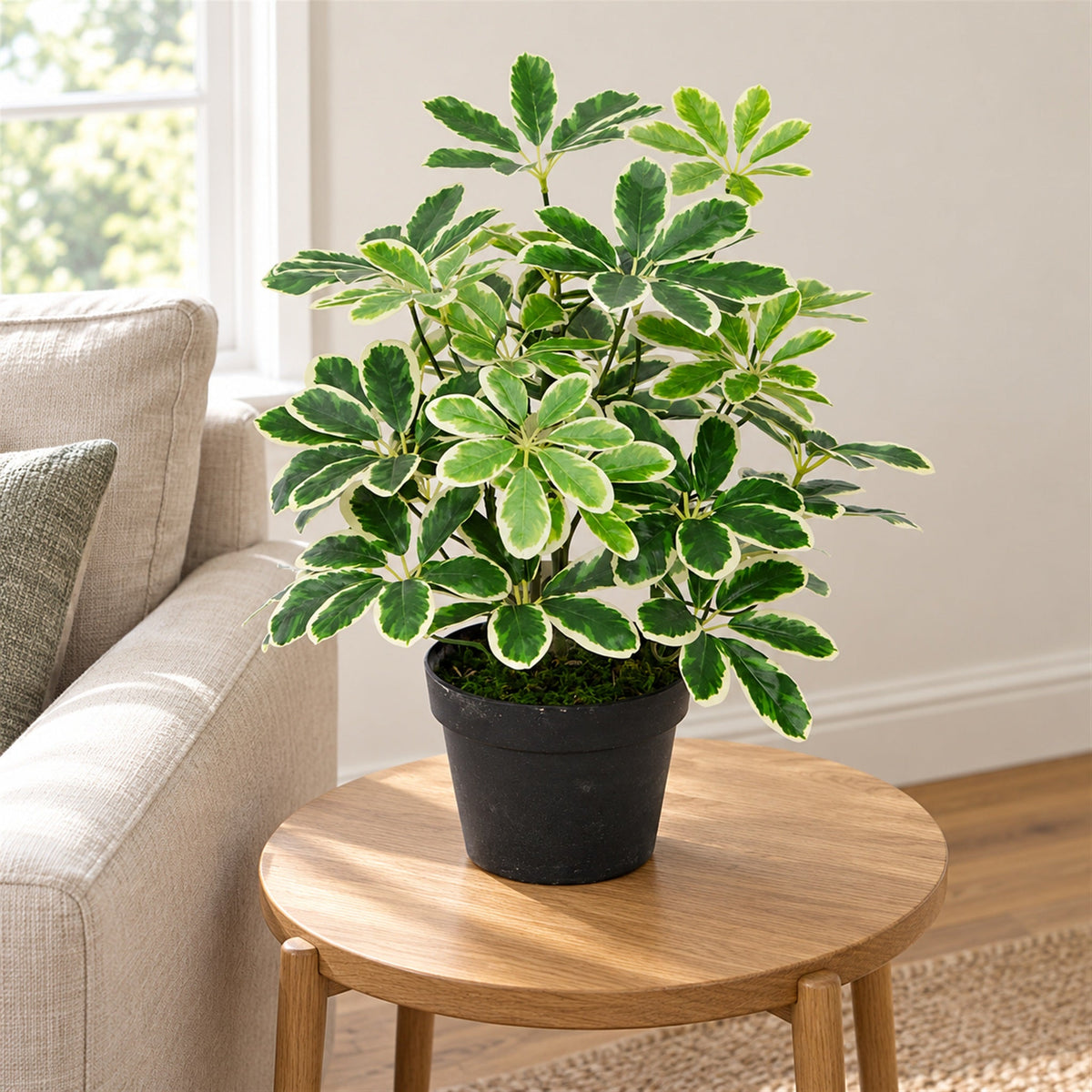 55cm Green Artificial Schefflera Arboricola Plant