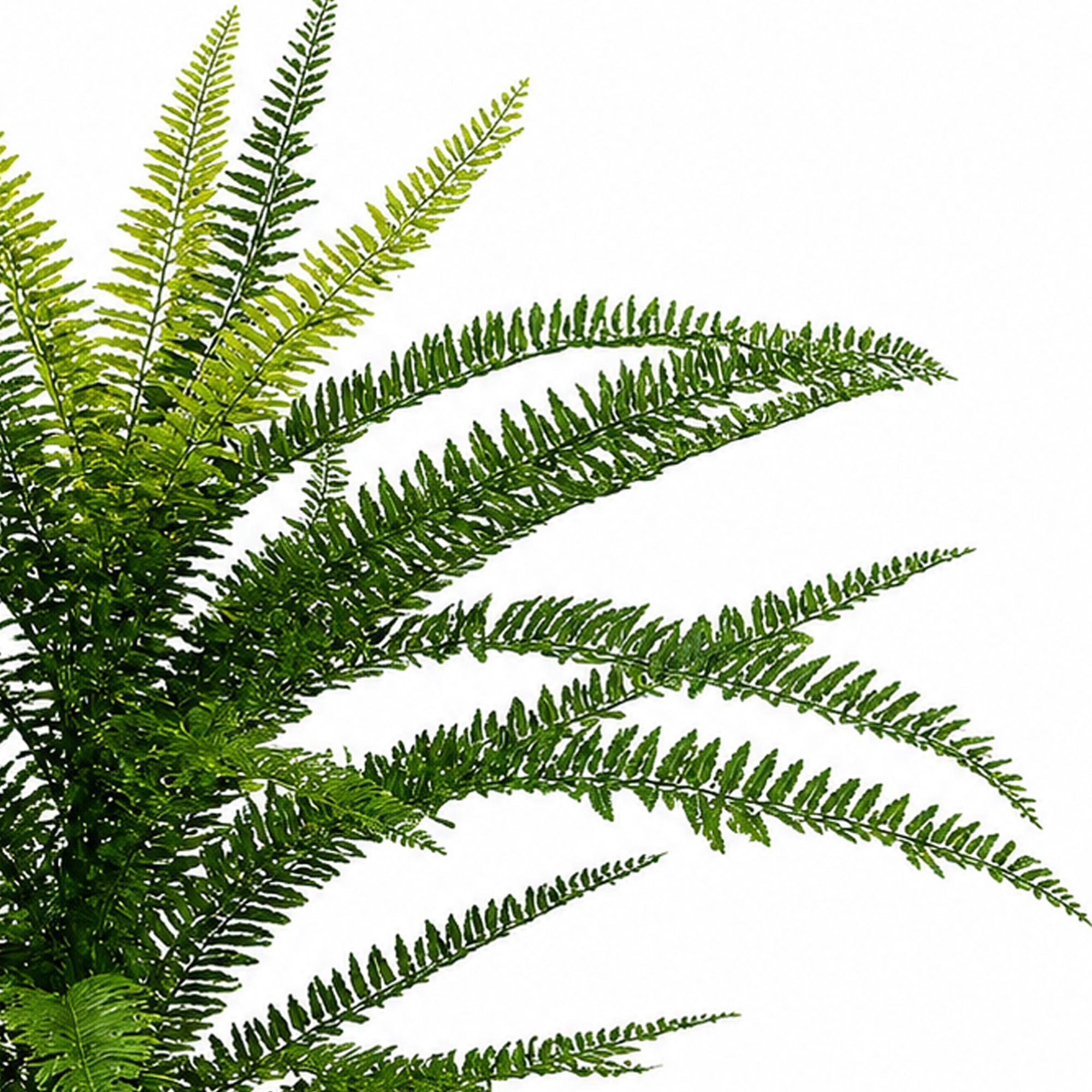 Plante artificielle de fougère de Boston de 75 cm en plastique ignifuge avec 49 feuilles