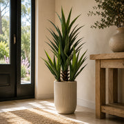 110cm Artificial Agave Tropical Display in Pot