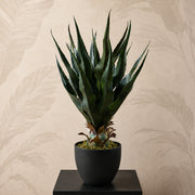 70cm Agave Tropical Yucca Artificial
