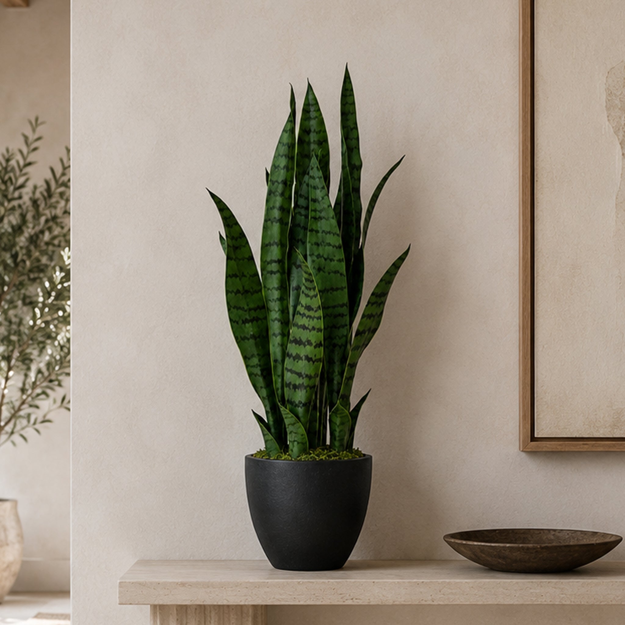 70cm Künstliche Sansevieria Dunkelgrün