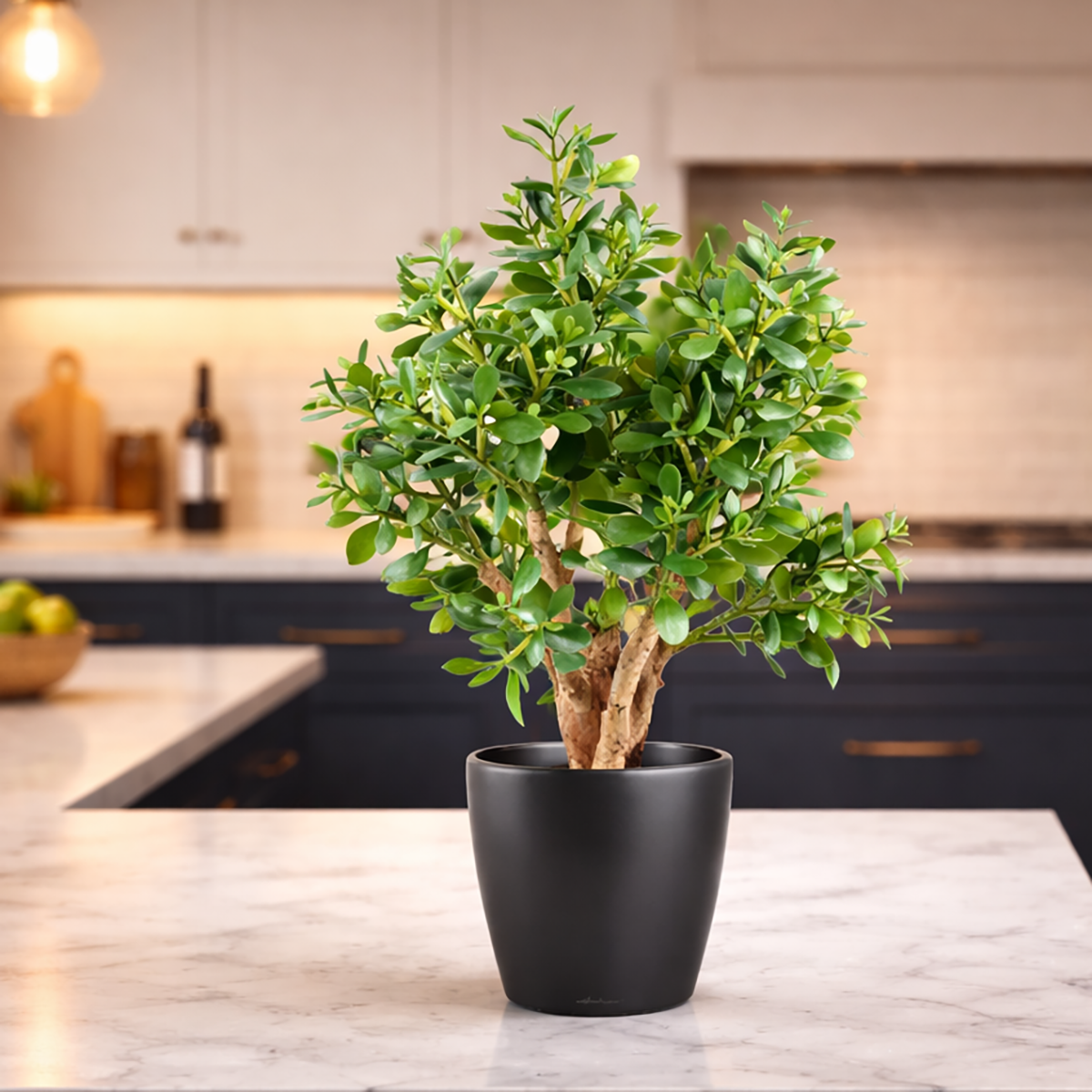 jade plant artificial 70cm Artificial Deluxe Jade Plant