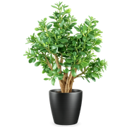 70cm Artificial Deluxe Jade Plant