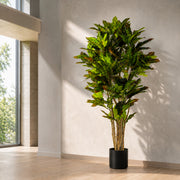 150cm Artificial Croton Tree