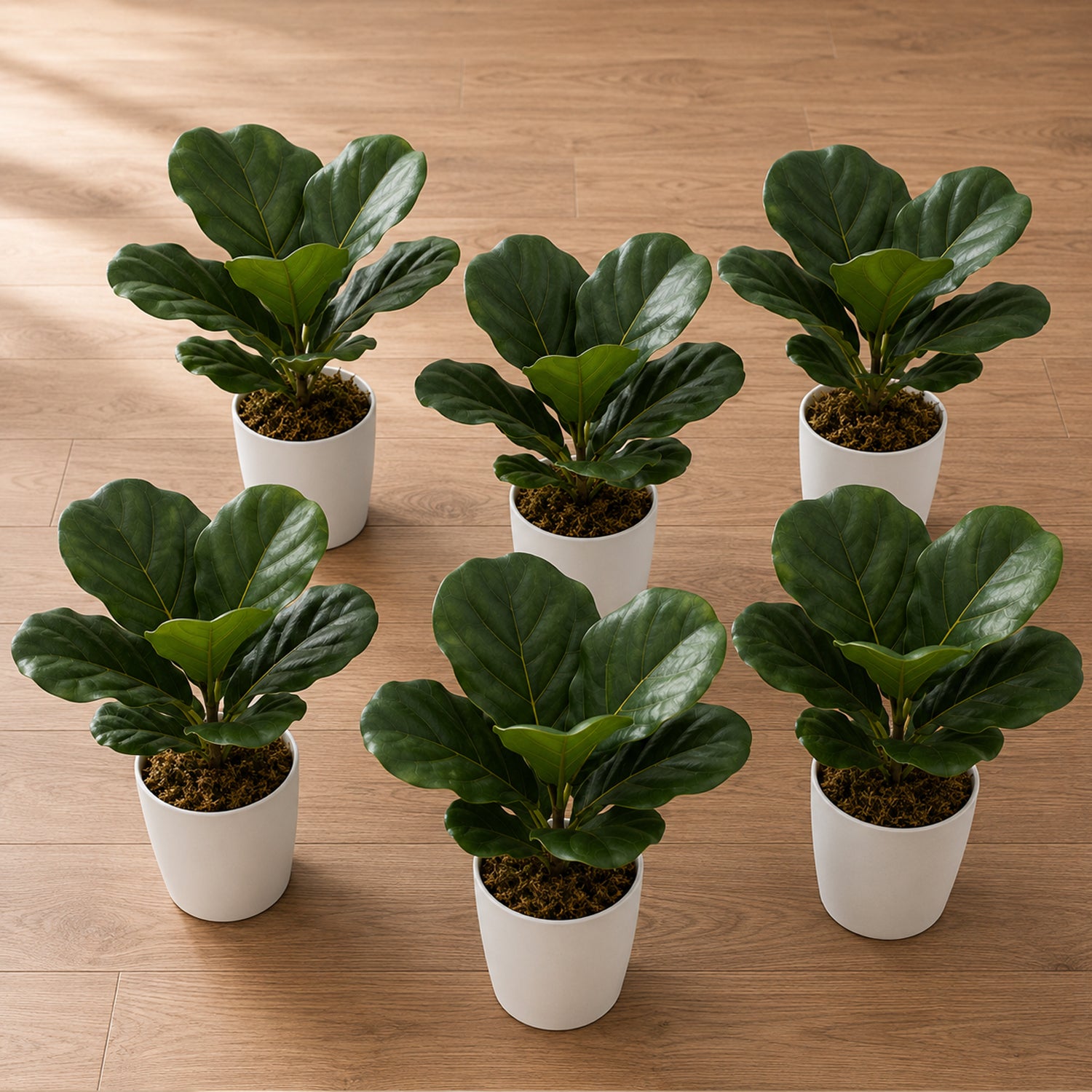38cm Potted Artificial Fiddle Fig Plant – image 11
