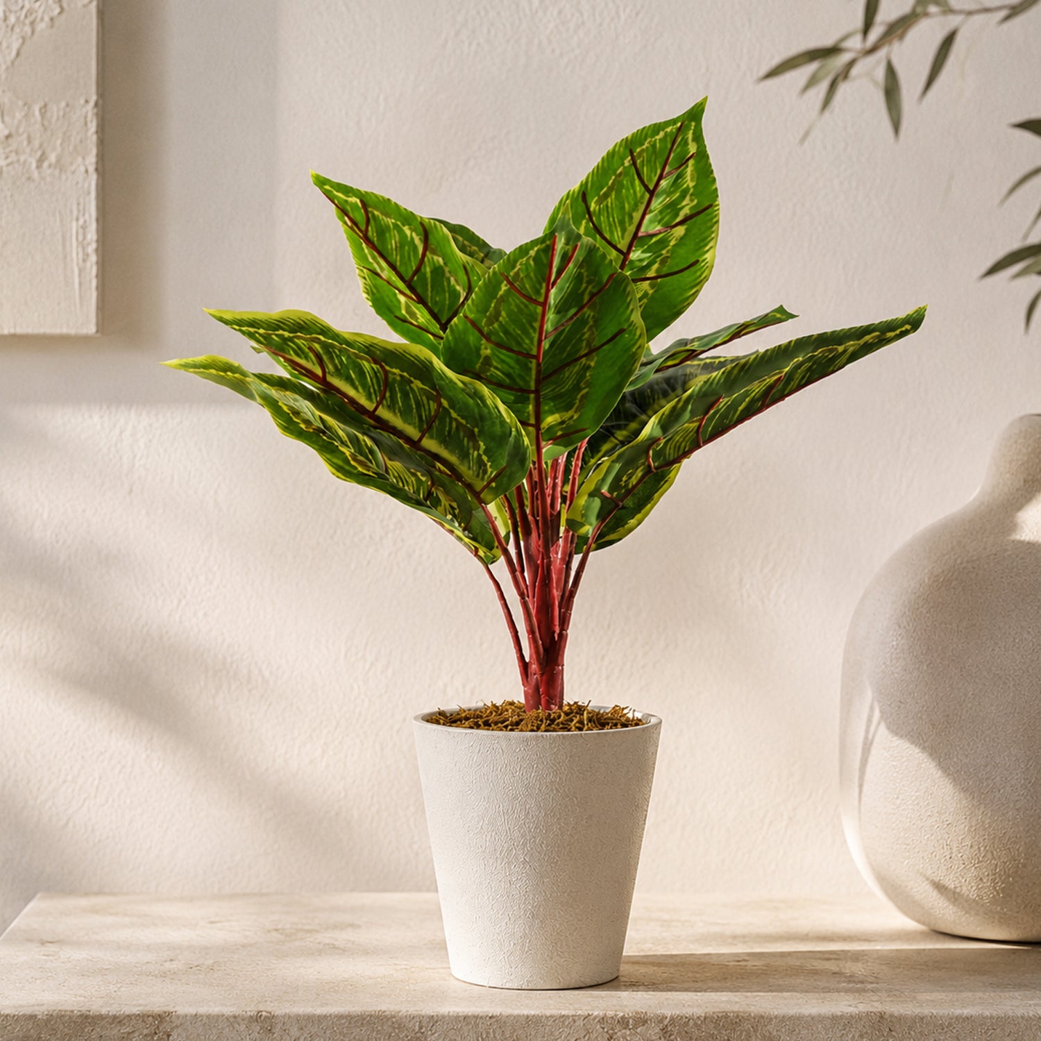 38cm Potted Artificial Calathea Veitchiane Plant