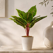 38cm Potted Artificial Calathea Veitchiane Plant