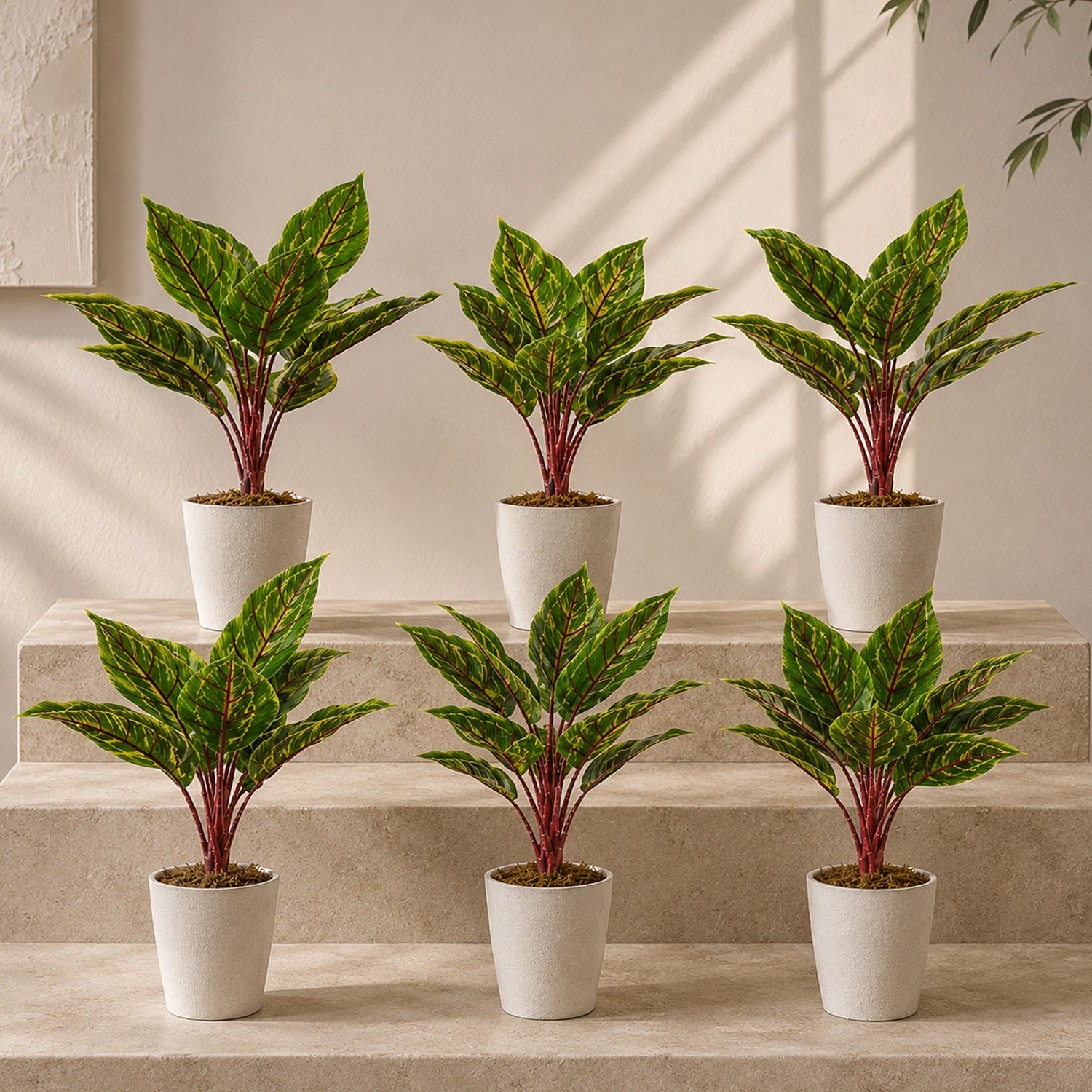 38cm Potted Artificial Calathea Veitchiane Plant