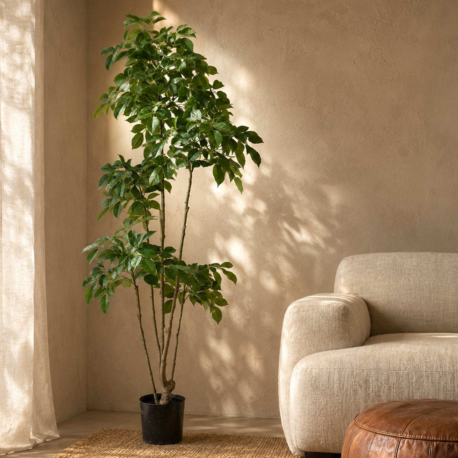180cm Radermachera Realistic Artificial Tree