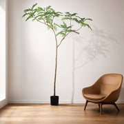 240cm Artificial Jacaranda Realistic Tree