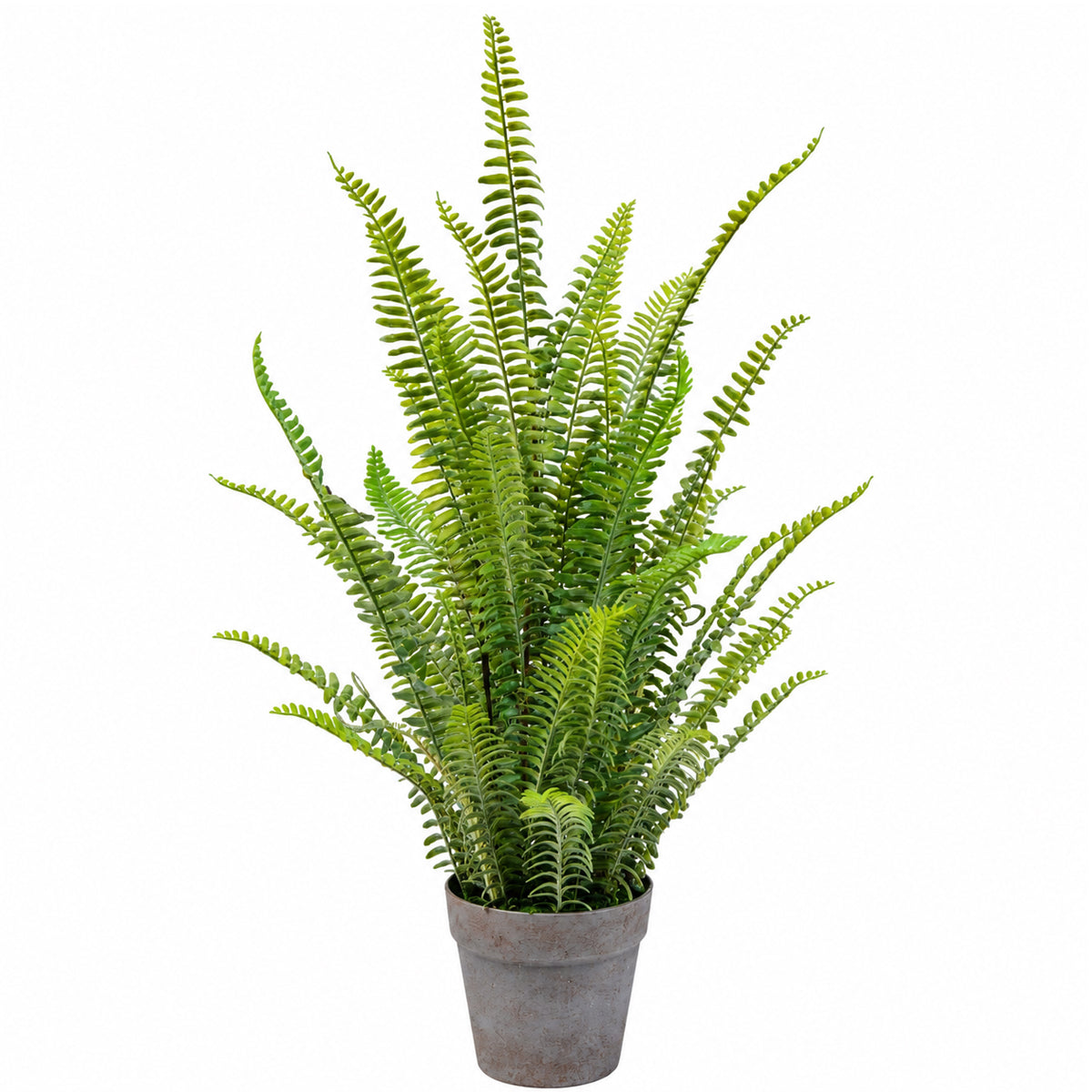 74cm Künstliche Farnpflanze