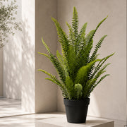 74cm Artificial Fern Plant