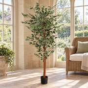 160cm Artificial Ficus with Natural Variegated Leaves