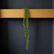 100cm Artificial Trailing Rhipsalis Plant - Dark Green Tips