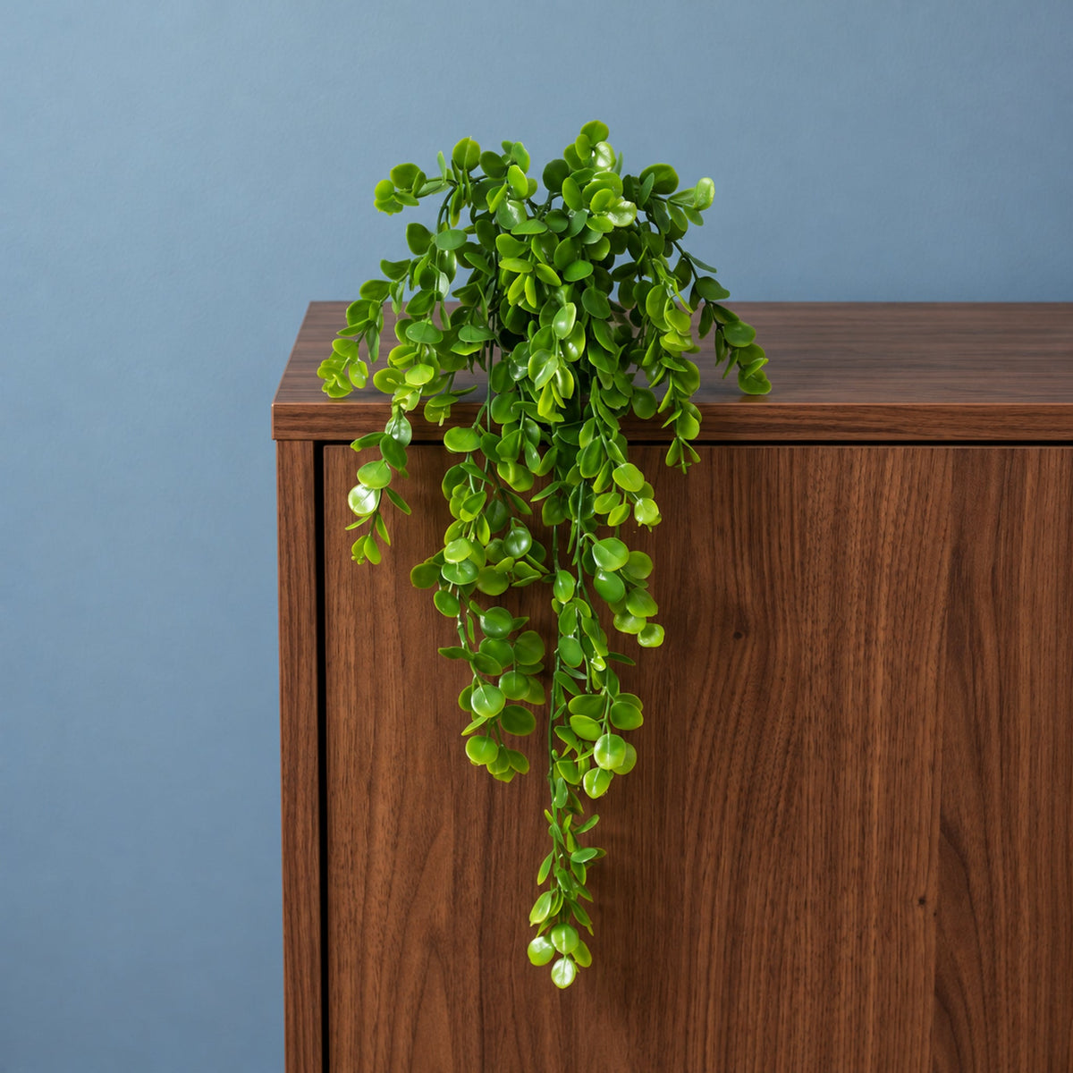 75cm Artificial Trailing Round Leaf Plant - Classic Gloss Green