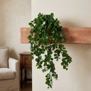 75cm Artificial Trailing Round Leaf Plant - Deep Forest Green