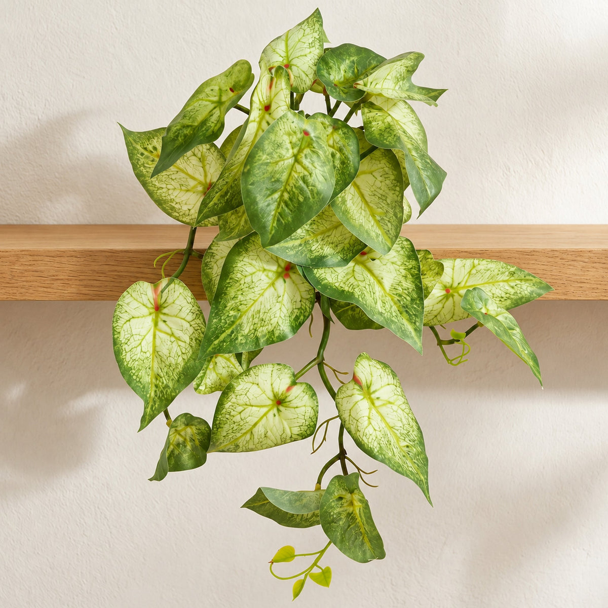 25cm Artificial Trailing Variegated Caladium Vine Plant Light Green