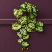 25cm Artificial Trailing Variegated Caladium Vine Plant Dark Green