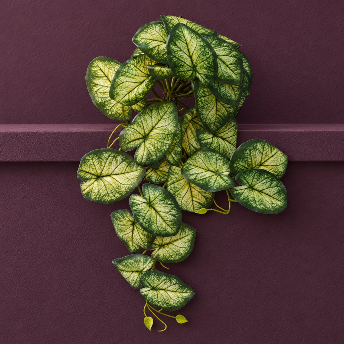 25cm Artificial Trailing Variegated Caladium Vine Plant Dark Green