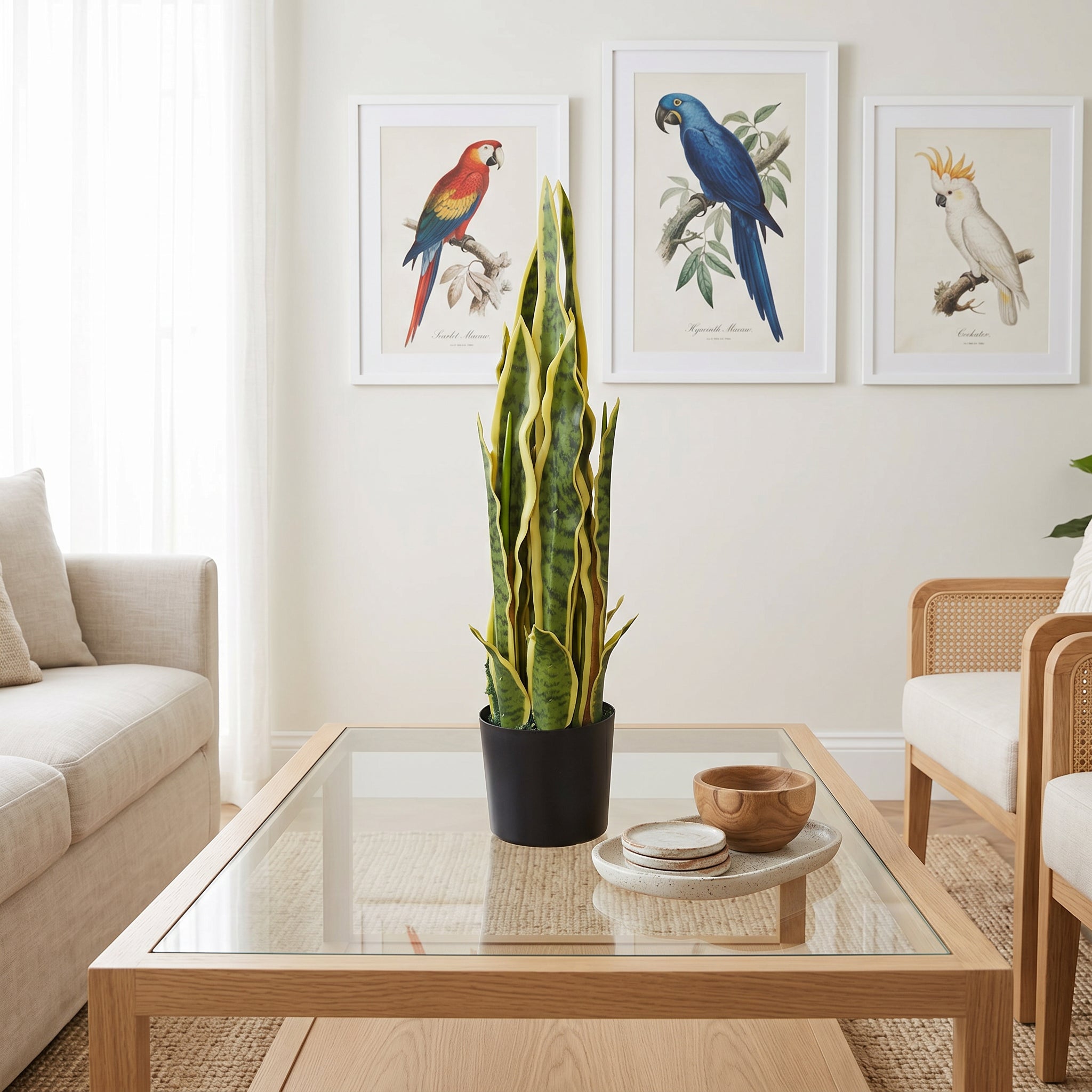 55cm Künstliche Sansevieria Gelb-Grün Zimmerpflanze