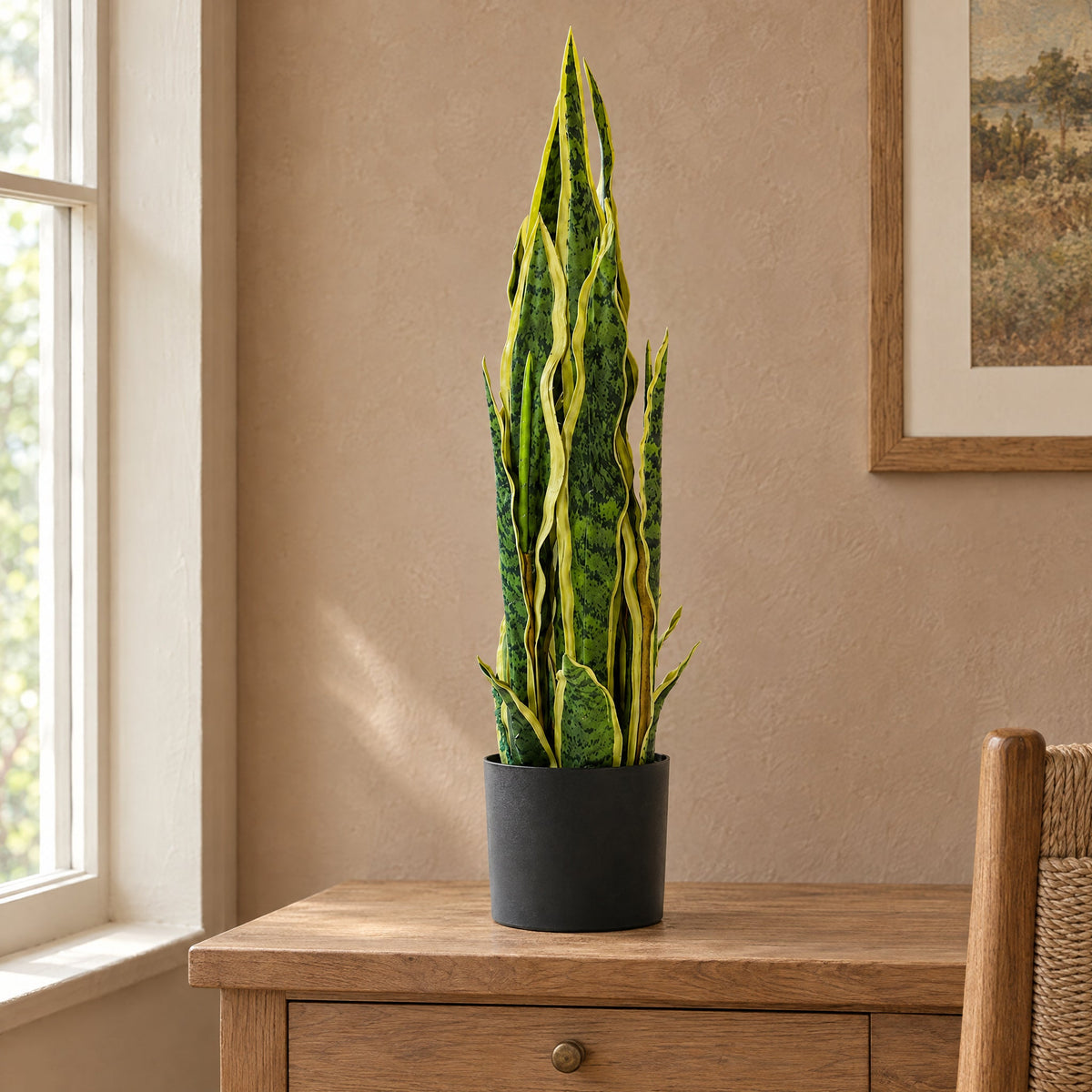 55cm Artificial Sansevieria Yellow Green Indoor Plant